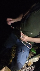 Rhinobothryum bovallii