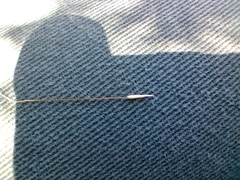 Austrostipa macalpinei