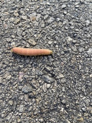 Mimatini