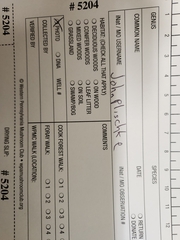 Ramaria calvodistalis