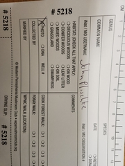 Boletus subcaerulescens