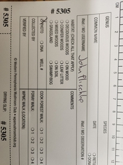 Spodocybe trulliformis