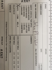 Hydropus praedecurrens