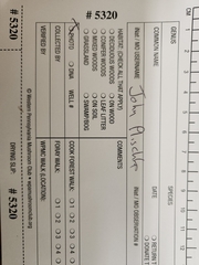 Inocybe fuscicothurnata