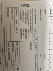 Cortinarius flexipes