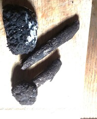 Strobilomyces confusus