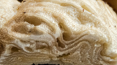 Hypomyces tremellicola