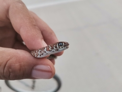 Masticophis mentovarius