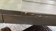 Dacrymyces stillatus