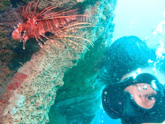Pterois antennata