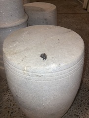 Scarabaeidae