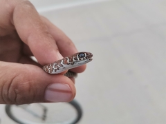 Masticophis mentovarius