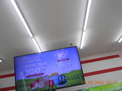 Hirundo rustica gutturalis