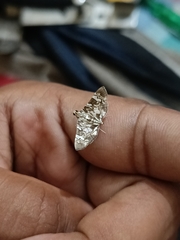 Chabula