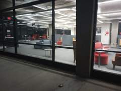 Hylocichla mustelina