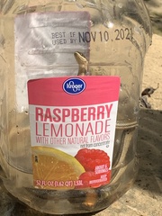 Regina septemvittata