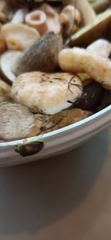 Piezodorus lituratus