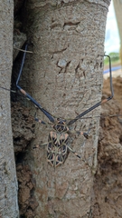 Acrocinus longimanus