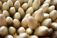 Syncarpha milleflora