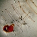 Dolioletta gegenbauri - Photo (c) WoRMS for SMEBD, algunos derechos reservados (CC BY-NC-SA)