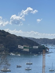 Haliaeetus leucogaster