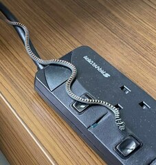 Chrysopelea paradisi