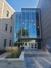 Geothlypis philadelphia