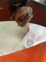 Tetragonisca angustula