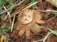 Myriostoma coliforme