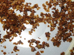 Semudobia tarda
