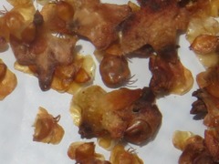 Semudobia tarda