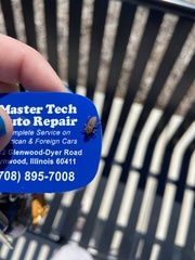 Sphenophorus venatus