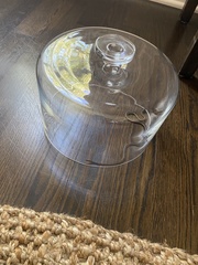 Masticophis lateralis lateralis