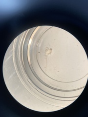 Bythotrephes longimanus