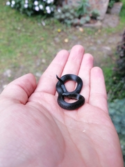 Atractus crassicaudatus