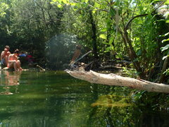 Calopteryx haemorrhoidalis