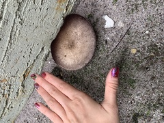 Fungi