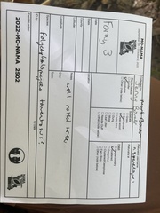 Polycephalomyces tomentosus