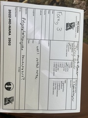 Polycephalomyces tomentosus