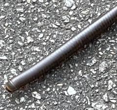 Narceus americanus