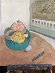 Laetiporus cincinnatus