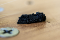 Neumichtis nigerrima