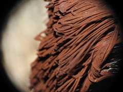 Stemonitis axifera
