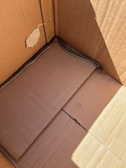 Thamnophis elegans vagrans