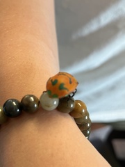 Tectocoris diophthalmus