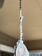 Chalybion zimmermanni