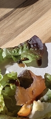 Vespula vulgaris