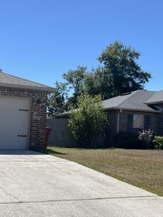 Melaleuca linearifolia