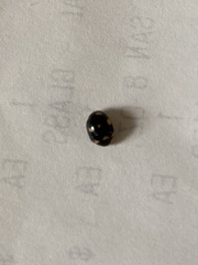 Brachiacantha decempustulata