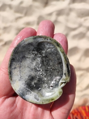 Dosinia exoleta